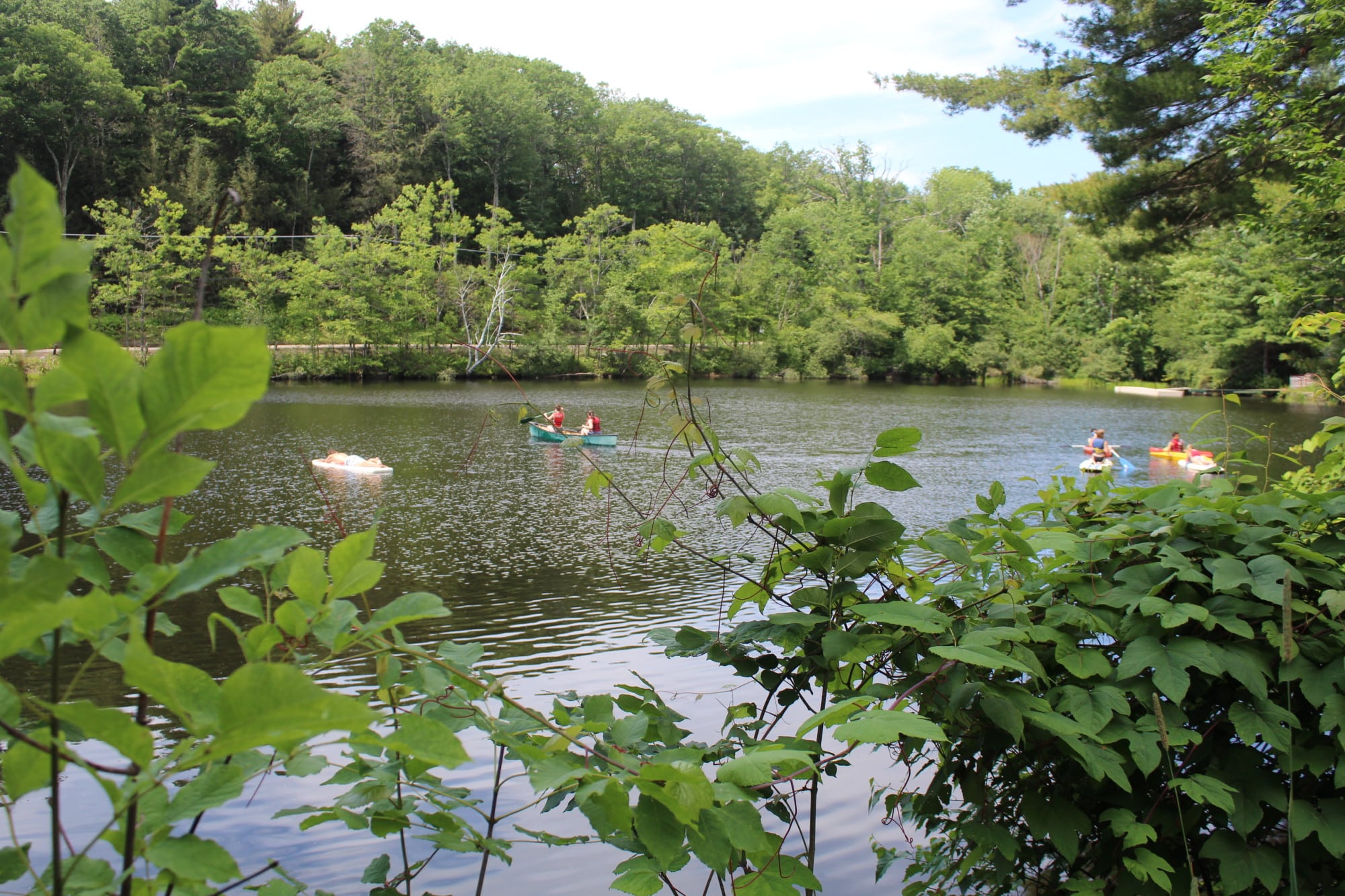 lake - Greenwood Trails